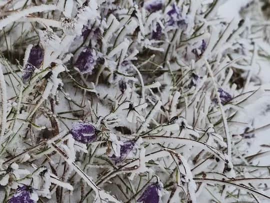 Jakie warunki na szlakach w Tatrach mogą zaskoczyć turystów?