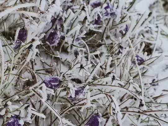 Jakie warunki na szlakach w Tatrach mogą zaskoczyć turystów?