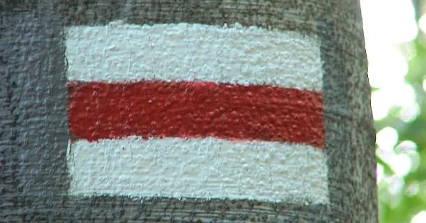 Co oznaczają kolory szlaków turystycznych? Zrozumienie ich znaczenia