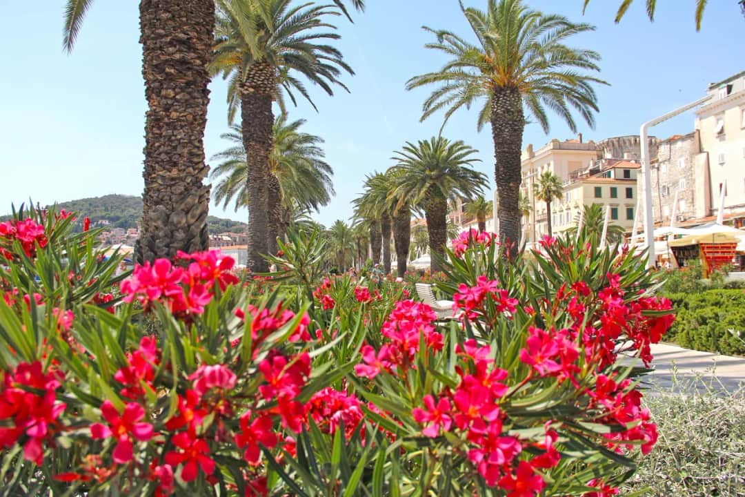 Najlepsze atrakcje w Dalmacji, które musisz zobaczyć na wakacjach