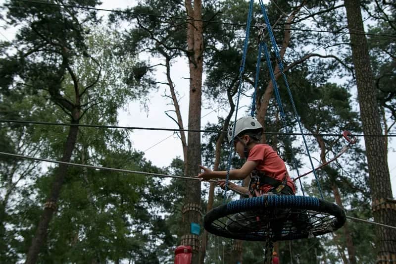 Granica Kampinos atrakcje, które musisz zobaczyć w Kampinosie